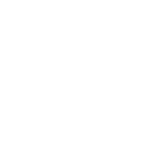 Sticky Logo (Light)